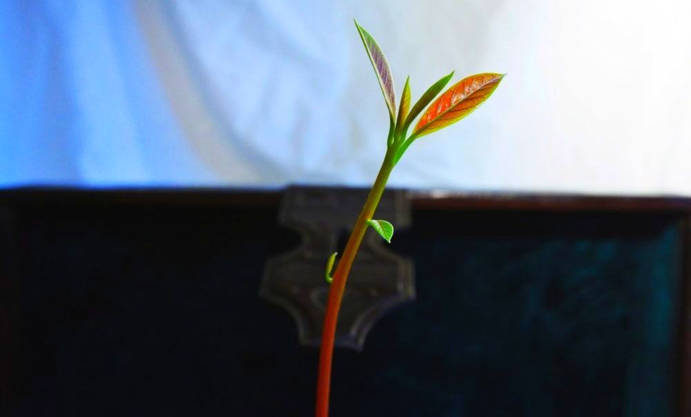 Being kind to yourself is not a weakness